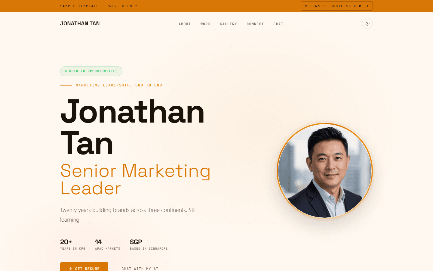 Consultant / Freelancer template preview